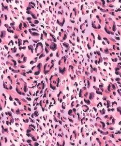 New Prints of Women's Swimwear Wild Leo by Bali Swim